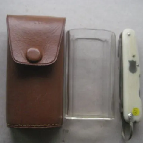 Victorian Cased Bone Hafted Multi-Bladed Penknife