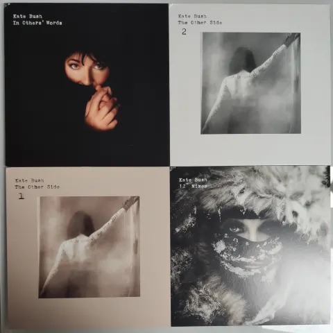 Kate Bush remastered in vinyl box set. Near mint condition.
