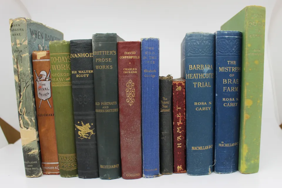 Mixed Lot of Antique and Vintage Books – Attenborough, Dickens, Scott, Carey & Others (12)
