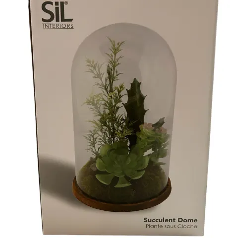 10 x Sil Interiors Succulent Dome L1