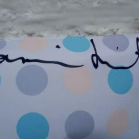 Damien Hirst Signed Bag