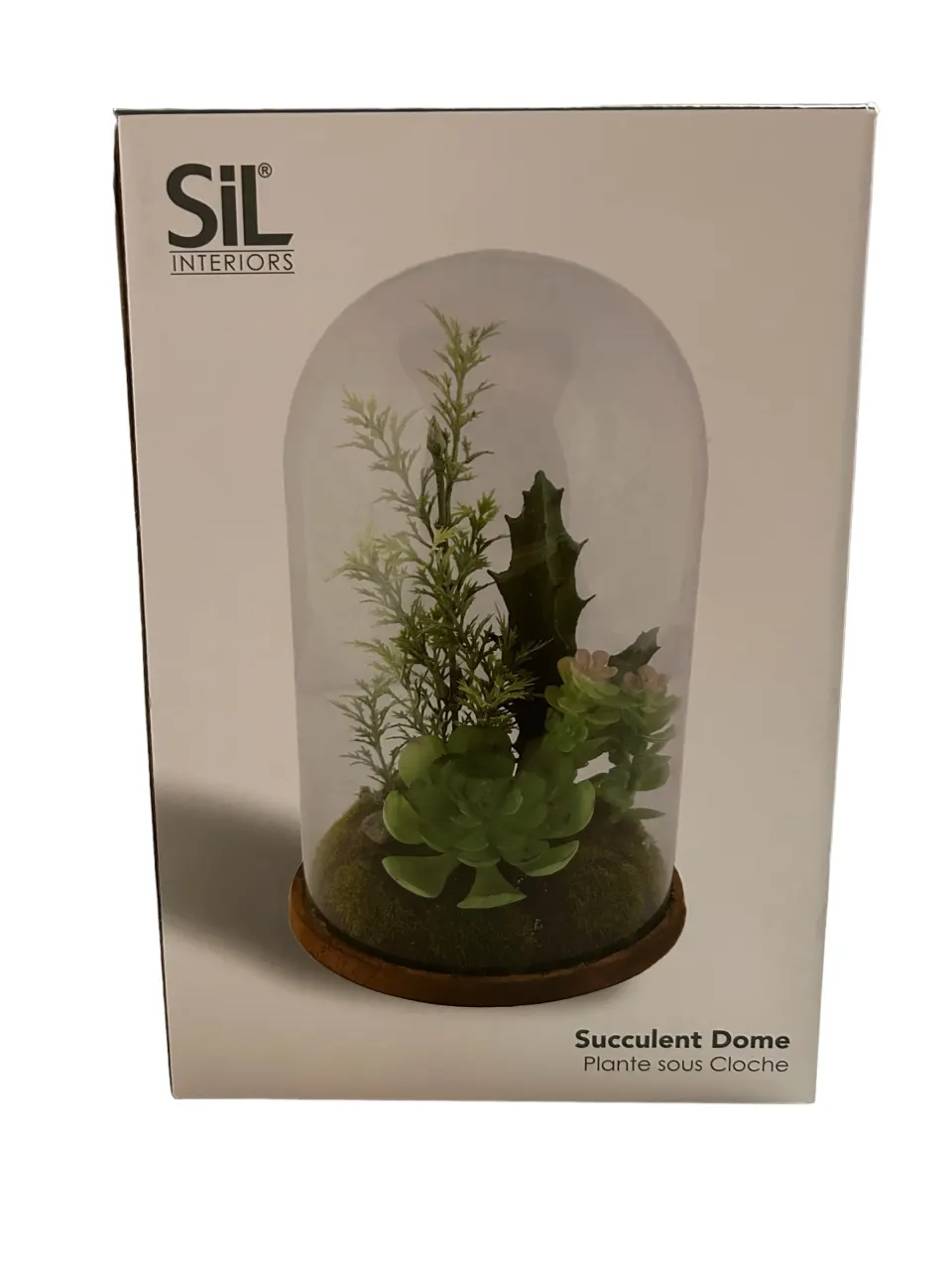 10 x Sil Interiors Succulent Dome L1 sku-2872