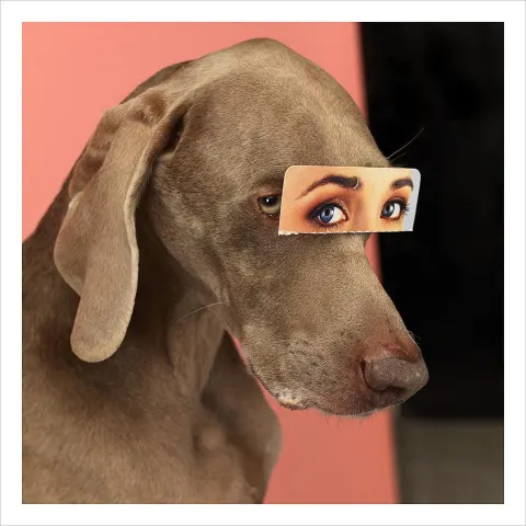 William Wegman Signed Limited Edition Photograph "False Eyes" 2019