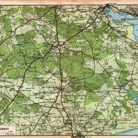 New Forest Hampshire Coloured Detailed Vintage 1924 Map.