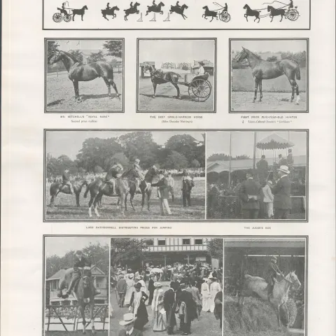 Dublin Horse Show Ballsbridge Dublin  1902 Antique Print