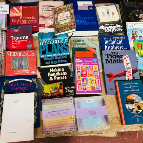 Job Lot Mixed Books Mostly New (B)