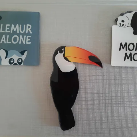 Paperchase Magnets x 12 Mixed Designs