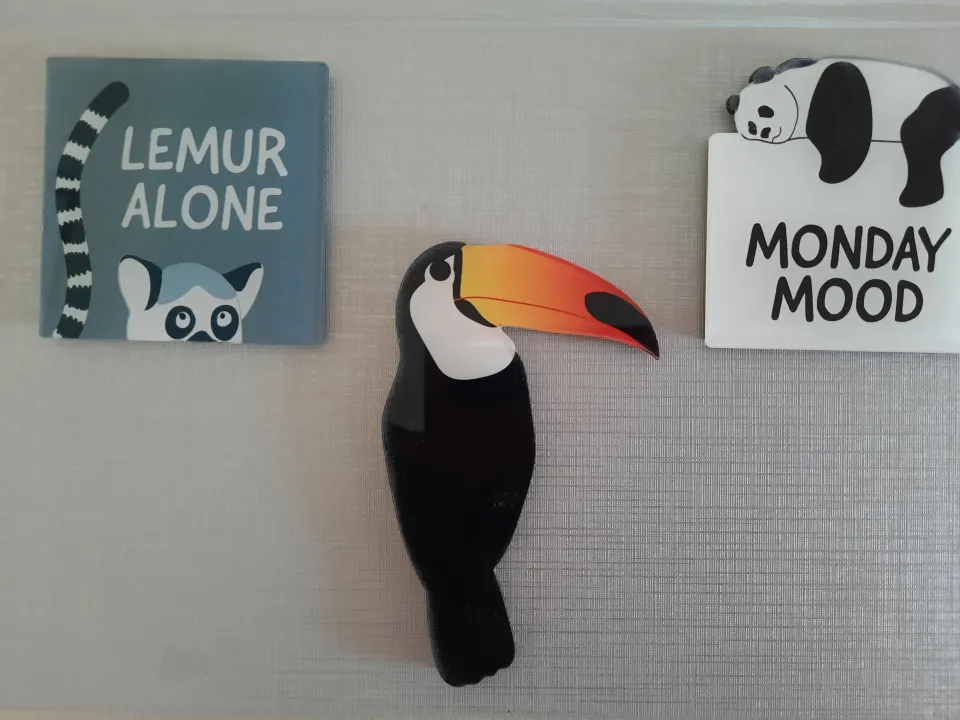 Paperchase Magnets x 12 Mixed Designs