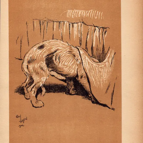 Cecil Aldin Antique Lovable Scamp Of a Terrier illustration A Dog Day -15.