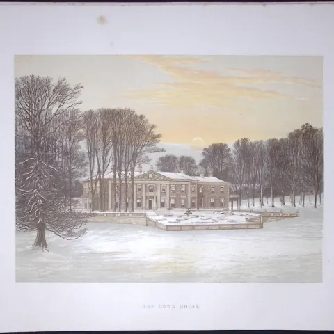 The Down House Dorset 160 Years-Old Gilt-Edge Coloured Antique Book Plate-8