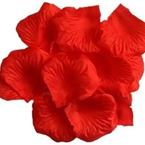 100pcs Deep Red Silk Rose Petals Valentines Day Wedding Confetti RRP£3
