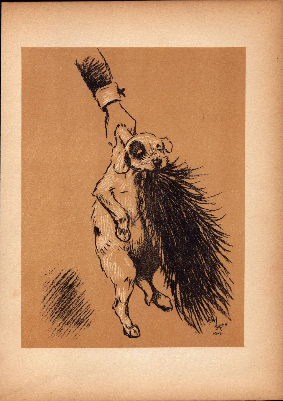 Cecil Aldin Antique Lovable Scamp Of a Terrier illustration A Dog Day -13.