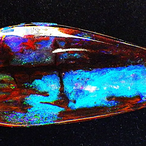 Australian Black Opal Fossil Wood Tear Drop Cabochon 21 Carats