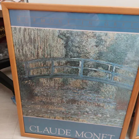 Monet pictures and IKEA cupboard doors