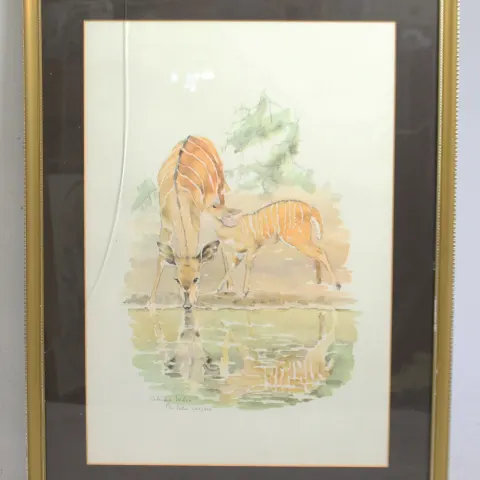 Patricia Wiles Limited Edition Animal Print Set in Frame