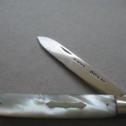 Rare Edwardian Mother of Pearl Hafted Saw Bladed Silver Fruit Knife