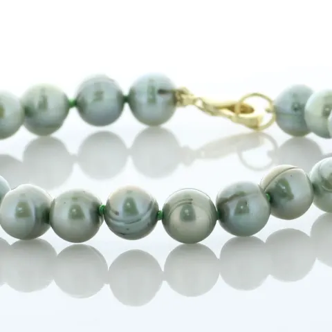 Freshwater Cultured 7.0 - 7.5mm Pearl Bracelet With Gold Plated Clasp
