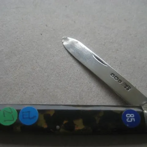 George V Silver Bladed Folding Fruit Knife