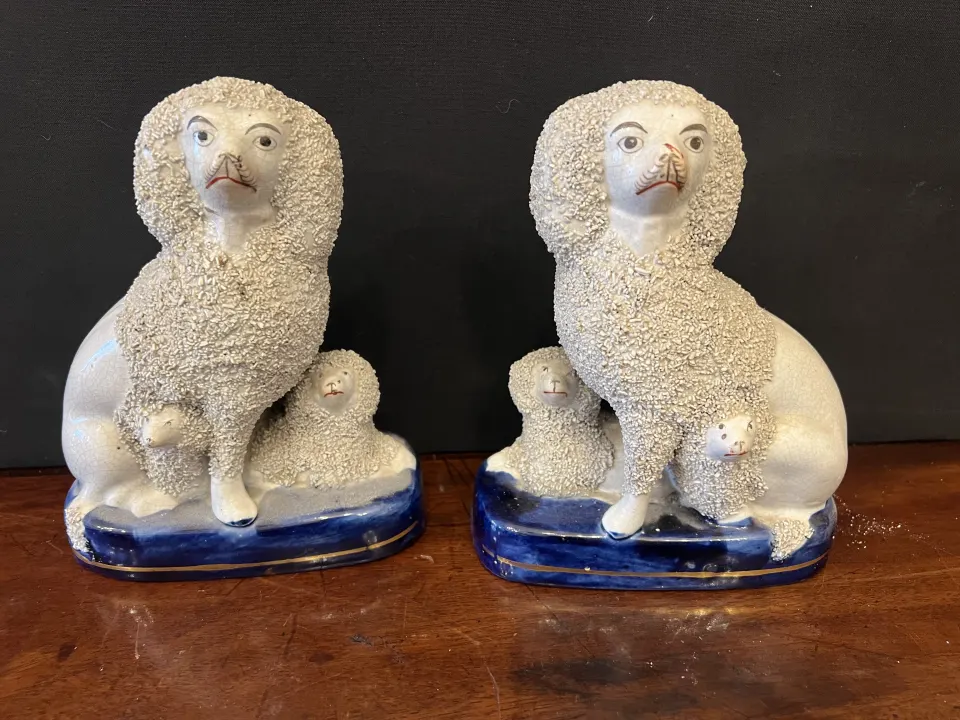 Pair of Staffordshire poodles with their puppy’s