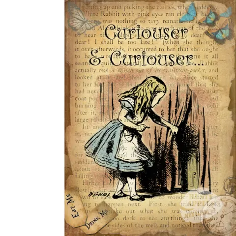 Alice In Wonderland Curiouser & Curiouser Designed Quote Large Metal Wall Art