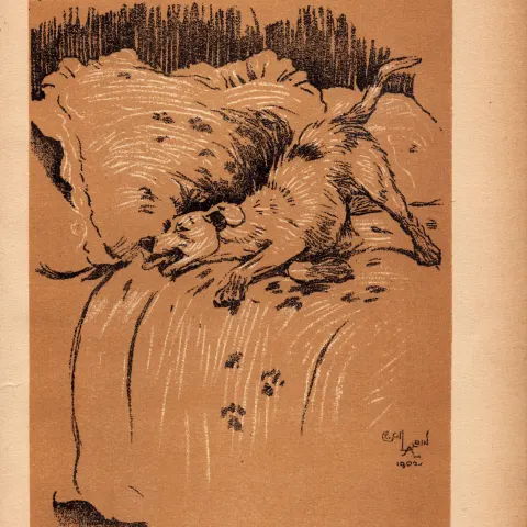 Cecil Aldin Antique Lovable Scamp Of a Terrier illustration A Dog Day -24.