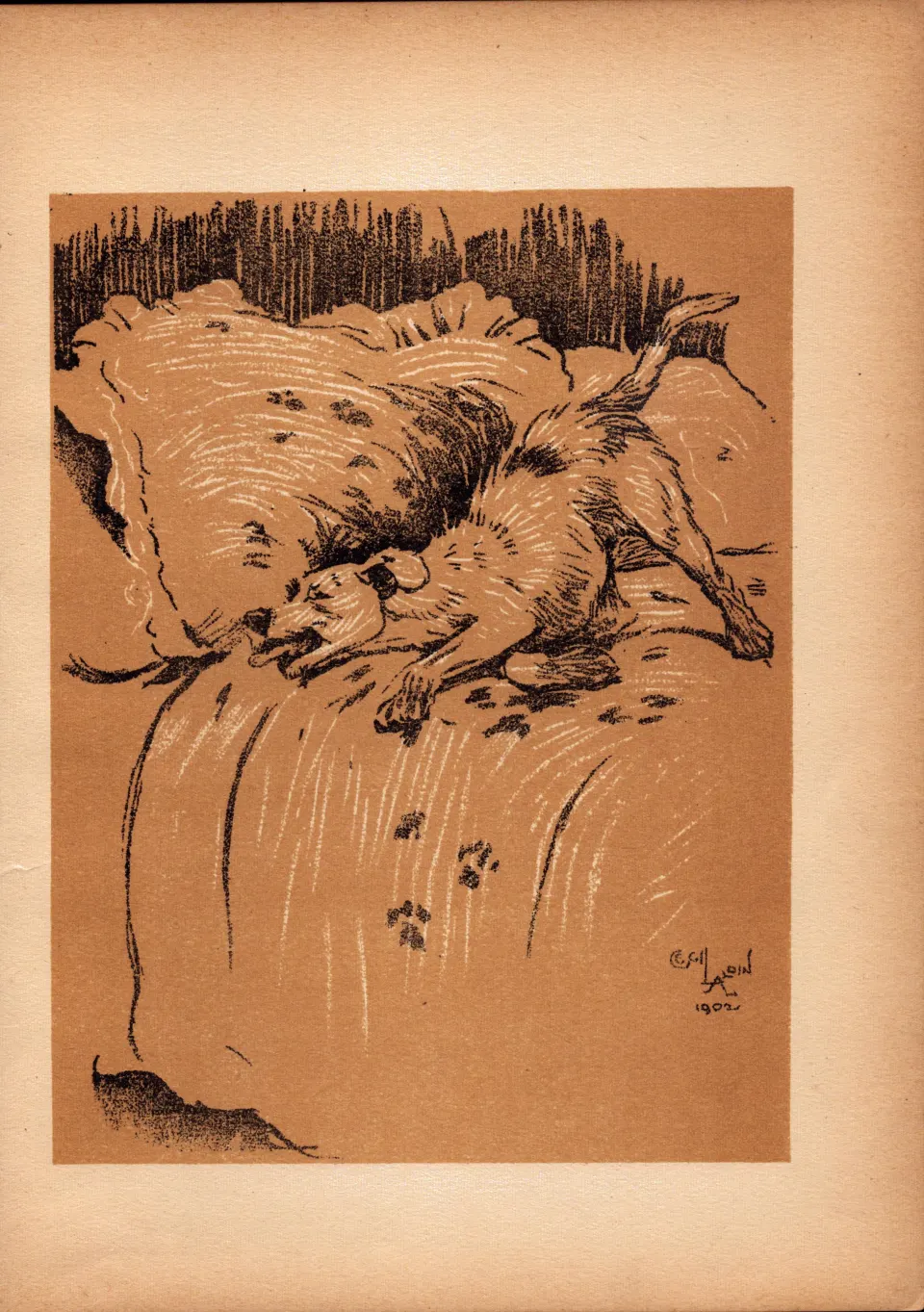Cecil Aldin Antique Lovable Scamp Of a Terrier illustration A Dog Day -24.