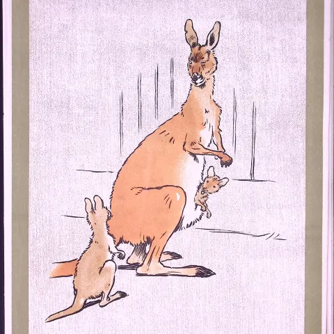Cecil Aldin Antique Zoo Babies Scarce Illustration “Young Kangaroo”-7