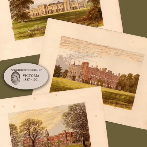 Hertfordshire 150 Years-Old Job Lot Gilt-Edge Coloured Victorian Antique Book Plates