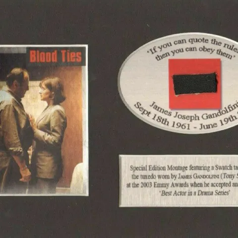 The Sopranos Clothing Owned & Worn By James Gandolfini Mounted Card Display