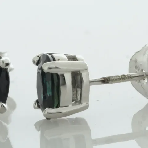 9ct White Gold Sapphire Earring (S0.76)