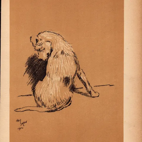 Cecil Aldin Antique Lovable Scamp Of a Terrier illustration A Dog Day -11.