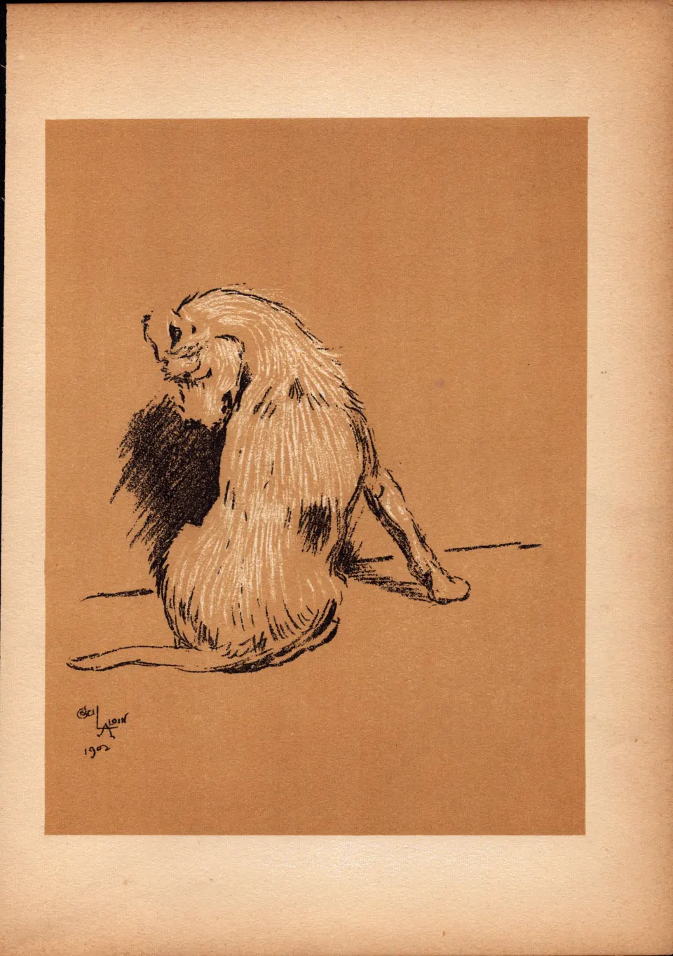 Cecil Aldin Antique Lovable Scamp Of a Terrier illustration A Dog Day -11.