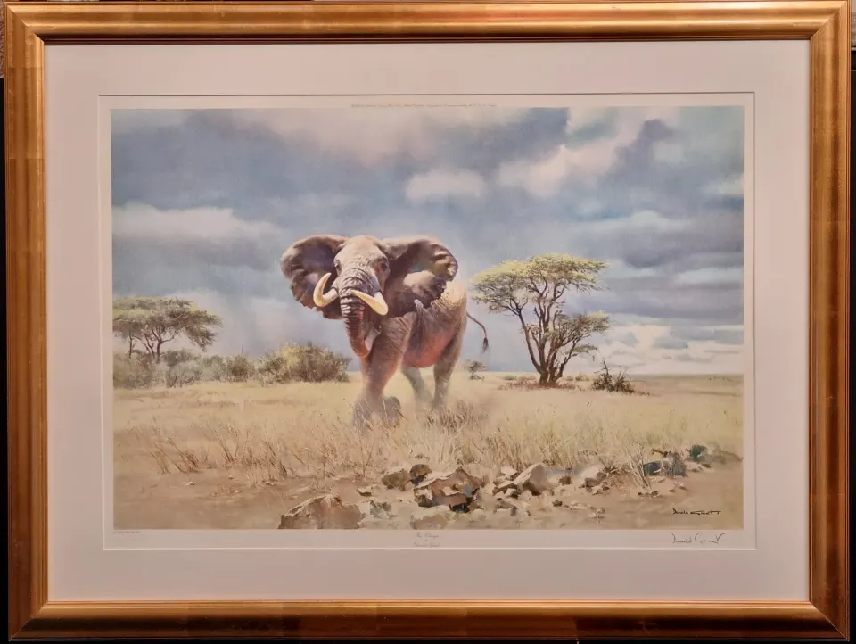 Rare Donald Grant MBE Signed Limited Edition