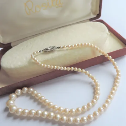 Vintage 17 inch Single Strand Rosita Pearl Necklace with Presentation Box