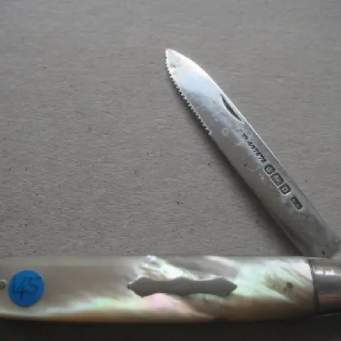 Rare Edwardian Mother of Pearl Hafted Silver Bladed Folding Fruit Knife