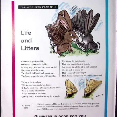 Guinness 1961 Original 64 Years-Old Print Rabbit Litters- G.E.3384-A