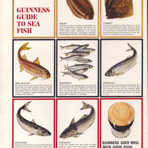 Original 58-Year-Old 1966 Guinness Guide To Sea Fish Print GE 3981 #-34.