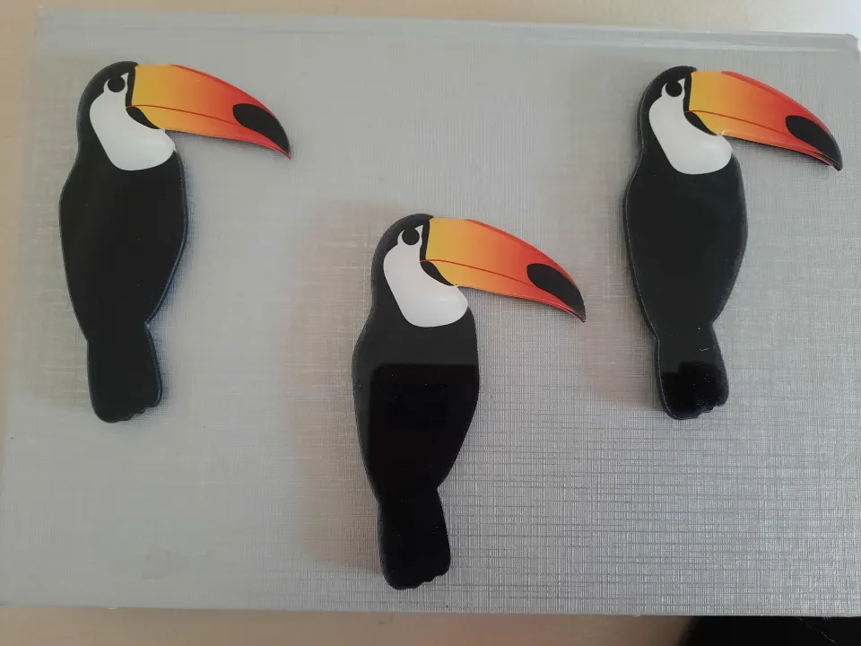 Toucan Fridge Magnets x 12