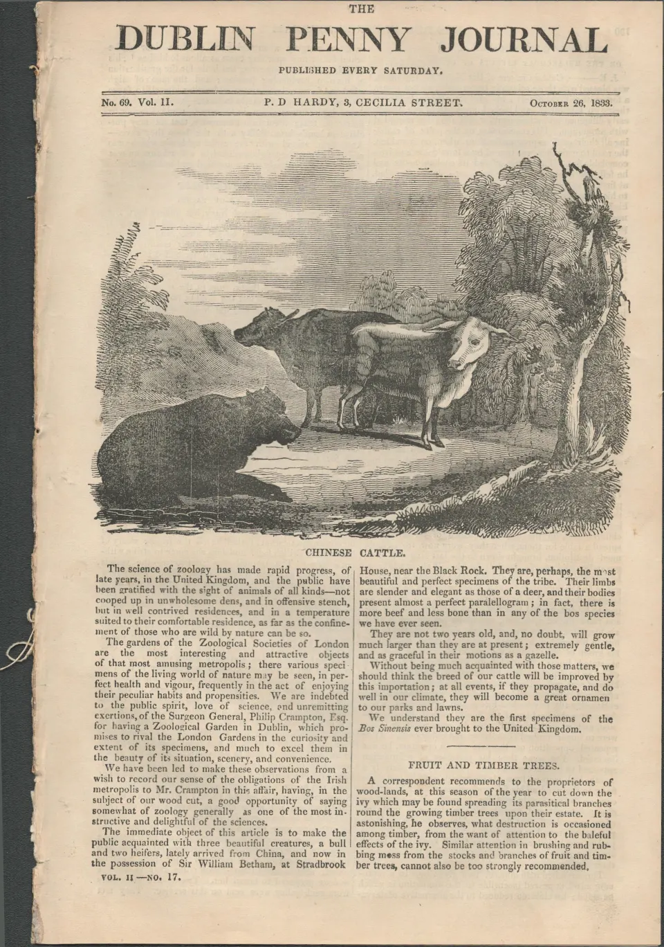 Antique Irish Newspaper 1833 Village of Cushendall Antrim Coast