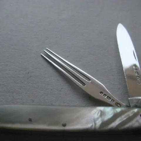 Rare Victorian Mother of Pearl Hafted Slotting Knife and Fork