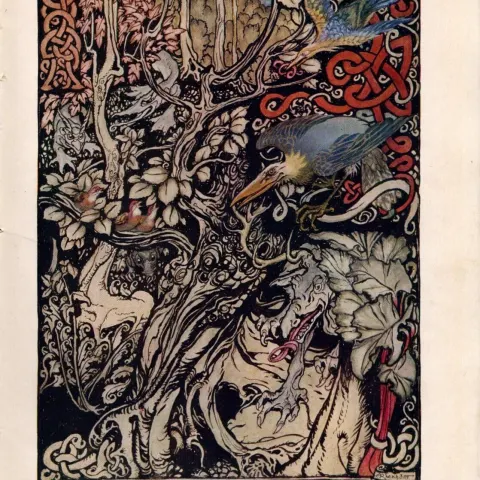 The Story of Tuan Mac Cairill 1924 Irish Fairy Tales Arthur Rackham.