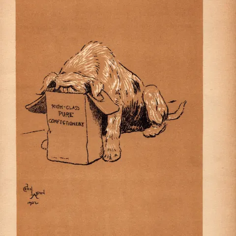 Cecil Aldin Antique Lovable Scamp Of a Terrier illustration A Dog Day -8.
