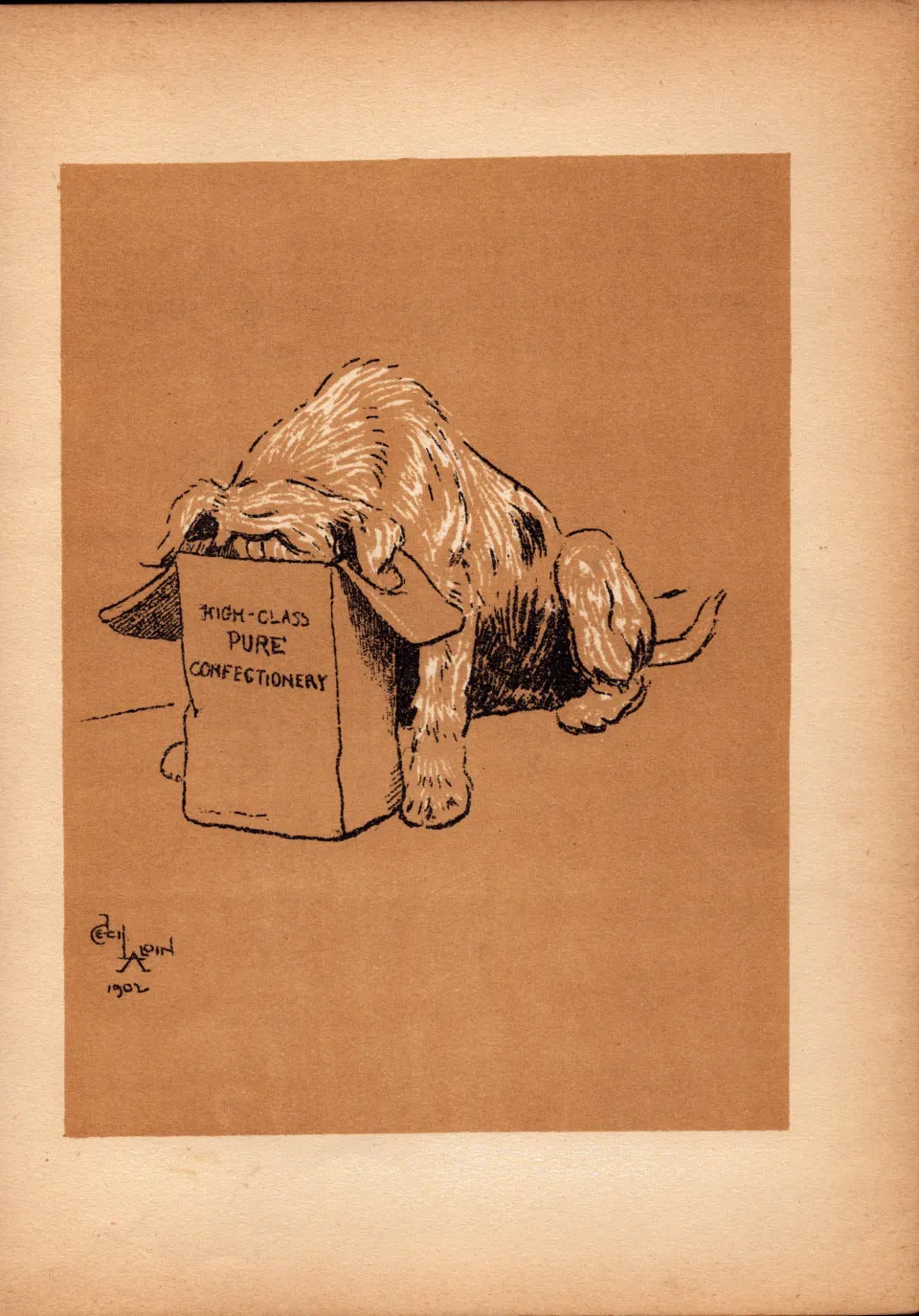 Cecil Aldin Antique Lovable Scamp Of a Terrier illustration A Dog Day -8.