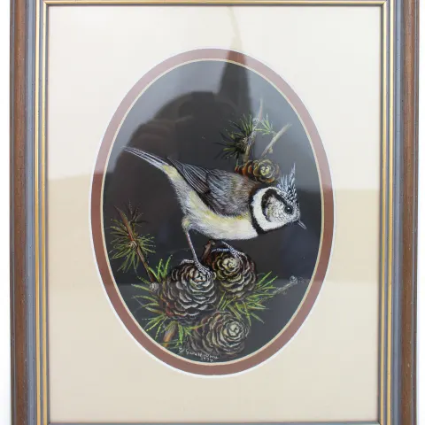Painting of Crested Tit by Liz Garnett-Orme (British, Contemporary)