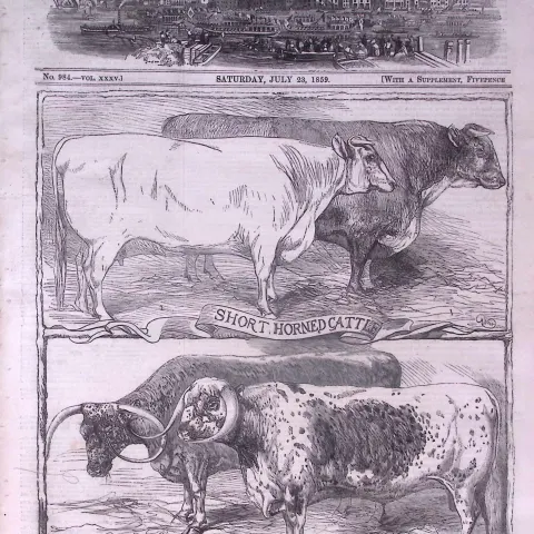 The Illustrated London News Antique Bound Edition July-Dec 1859 Over 600 Pages.