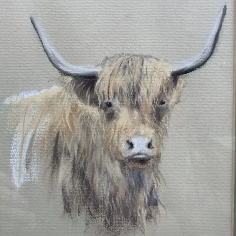 Highland cow portrait Aberdeen Angus framed Painting watercolour signed by artist Bel Parsons