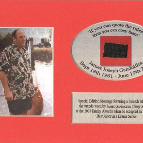The Sopranos Clothing Owned & Worn By James Gandolfini Mounted Display