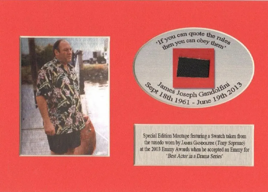 The Sopranos Clothing Owned & Worn By James Gandolfini Mounted Display