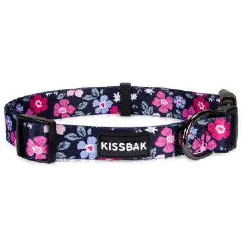 26 x Dog Collars Total RRP £231.89