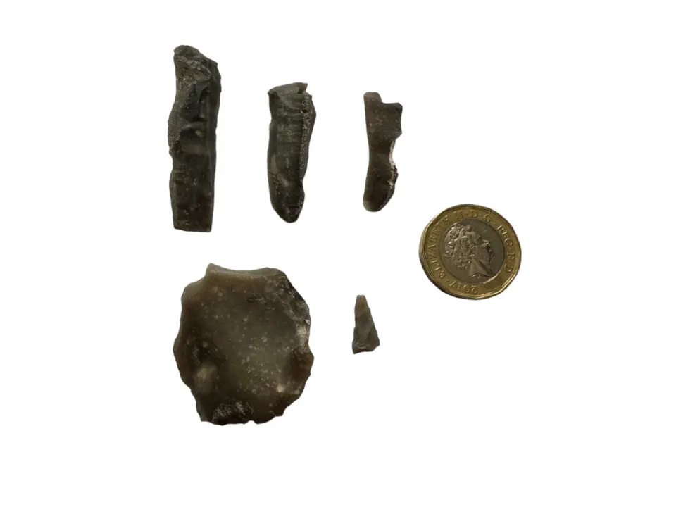 Antiquities: Neolithic stone flint tools, found Barningham Moor, Frankinshaw well